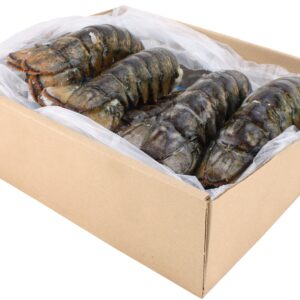 10lb Lobster box