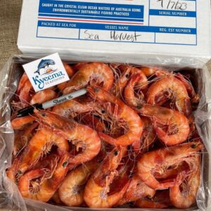 Headless Jumbo Shrimp 21-25 count -- 4lb box